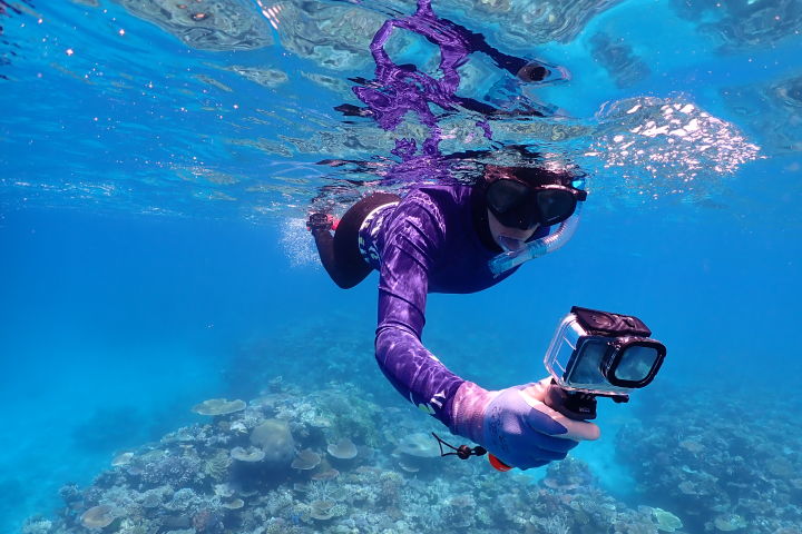 Great Reef Census 2022 Far North citizen science field expedition from Lockhart to Lizard Island for reef habitat and COTS reconnaissance.