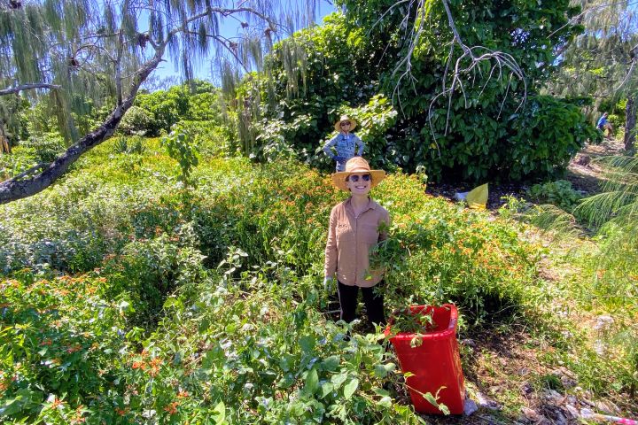 Clarissa Elakis, Reef Islands Senior Program Manager carrying out island weed management.