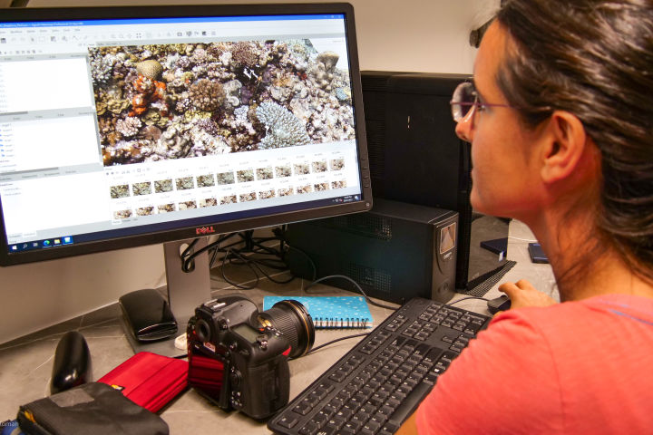 EcoRRAP reference reef establishment, 3D mapping and data collection