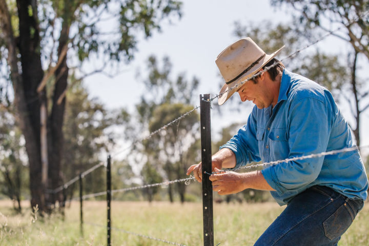 Stabilising streambanks. Credit: Fitzroy Basin Association