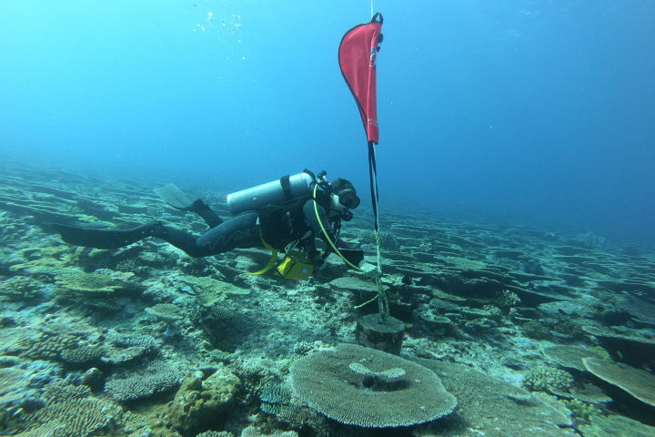 Deploying acoustic mooring