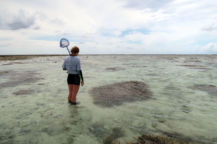Leaf to Reef research team on Lady Elliot Island as part of the Reef Islands Initiative. Image credit: Asia Armstrong