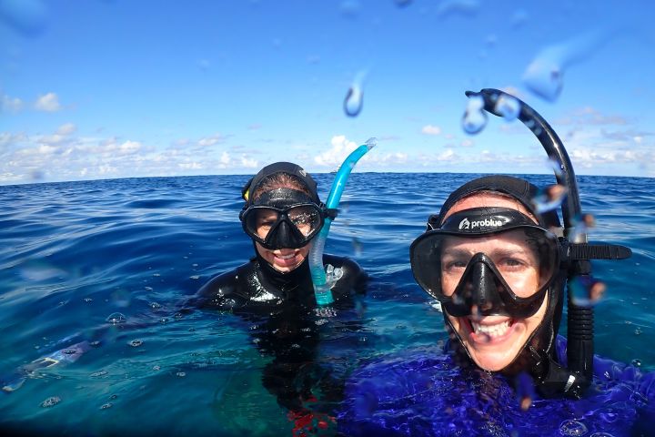 Great Reef Census 2022 Far North citizen science field expedition from Lockhart to Lizard Island for reef habitat and COTS reconnaissance.