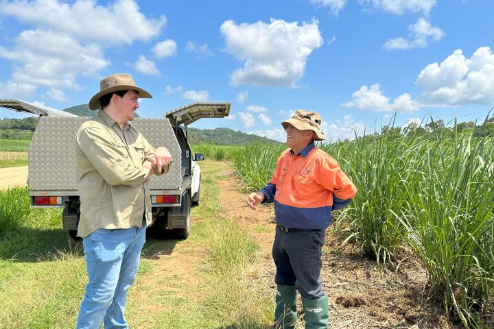 Reef Catchments program coordinator Todd McNeill and SRA's Cane to Creek project manager Matt Schembri discussing results at one of the project trial sites. Credit: Reef Catchments