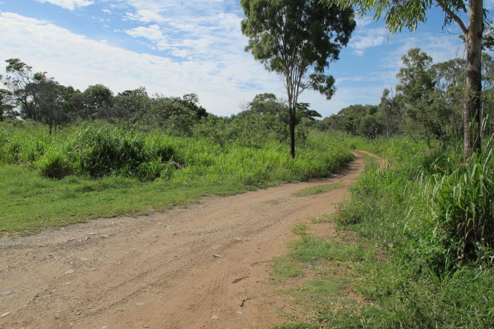 2010: Before revegetation at Louisa Creek Reserve