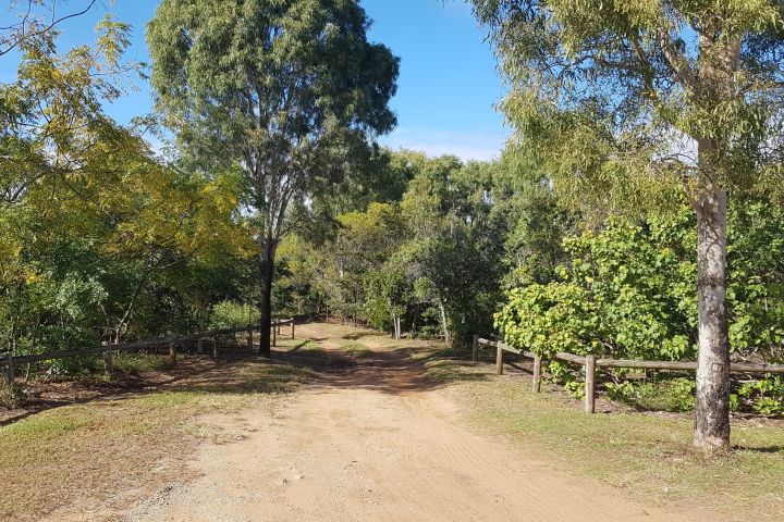 2022: After revegetation at Louisa Creek Reserve