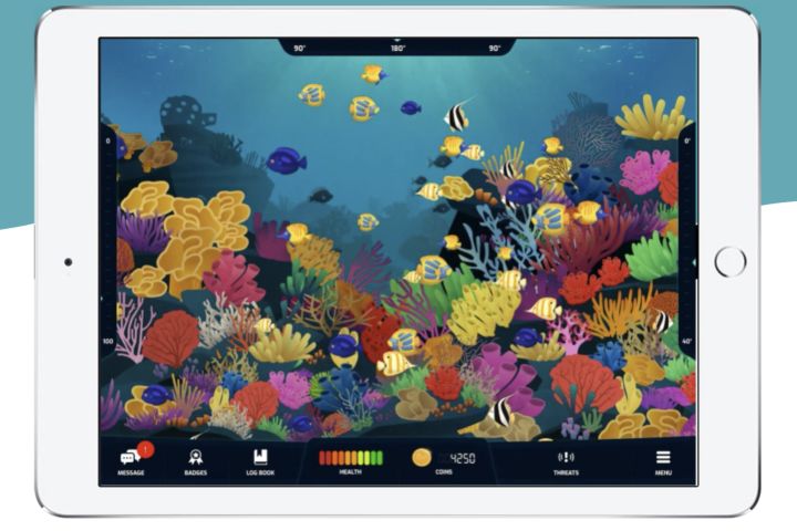 Love the Reef