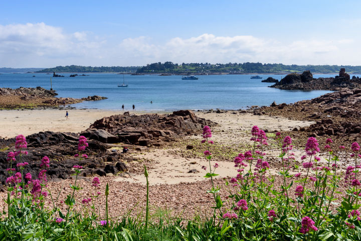 Cedric’s family originates from Bréhat Island in Northern Brittany, France.