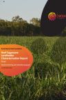 Sugarcane Landholder Characterisation Report (Mosaic Insights, 2022)