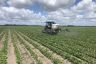 Jake, Alex and Terry during spray trials for AutoWeed.