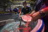 Mass coral breeding methods amidst raft of breakthroughs to protect reefs