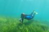 Citizen Science project wrap: Stories of impact