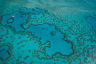 What we’re doing to save our Reef and how you can help 