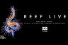 The Great Barrier Reef Foundation’s Reef-saving projects showcased live on the ABC