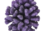 2015
