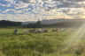 Affordable technology for Precision Agriculture