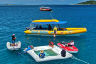 Tourism operators key to large-scale coral restoration