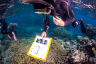 Cairns-Port Douglas Reef Hub Network Grant Guidelines June 2023