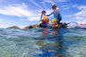 Millions of coral babies released onto damaged reefs