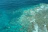 ReefChat: Beyond the Bleaching