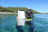 10 citizen science projects get all hands on deck to boost Reef protection