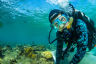 Australian-first reef restoration hub for Cairns & Port Douglas