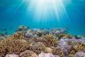 Climate change: What does ‘locked in’ mean?