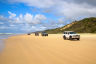 Driving in the right direction for turtle protection