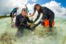 We must not delay action to save the Great Barrier Reef