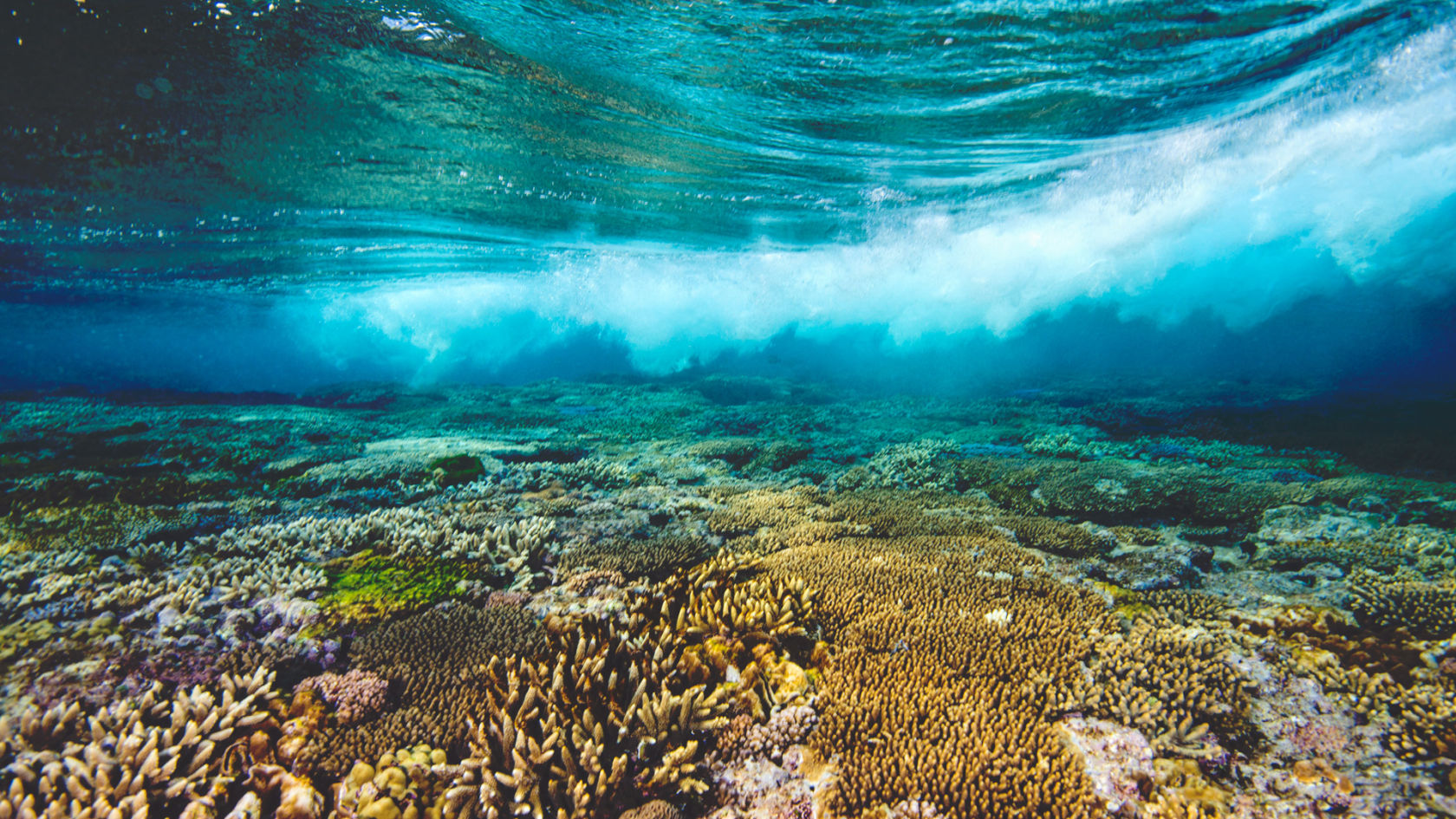 После тихого океана. Большой Барьерный риф. Большой коралловый риф в Австралии. Коралловое море Барьерный риф. Большой Барьерный риф (самый большой в мире коралловый риф).