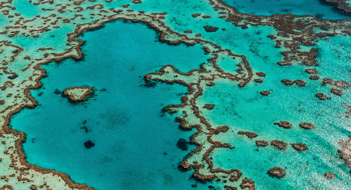 The Great Barrier Reef is a victim of climate change – but it could be ...