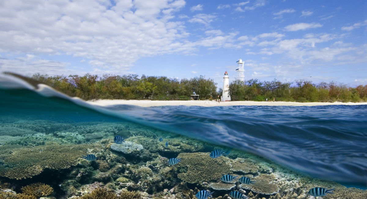 www.barrierreef.org