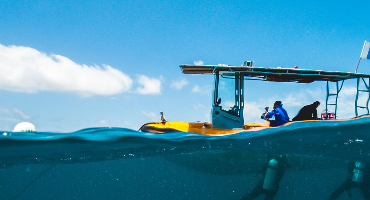 Reef Community Hub Great Barrier Reef Foundation reef-community-hub-great-barrier-reef-foundation