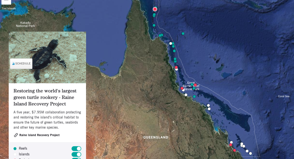 How To Explore The Great Barrier Reef