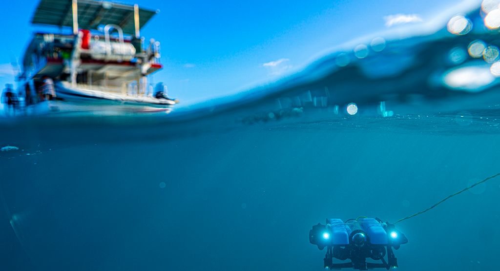 Drones, AI and e-DNA keeping tabs on Great Barrier Reef and animal ...